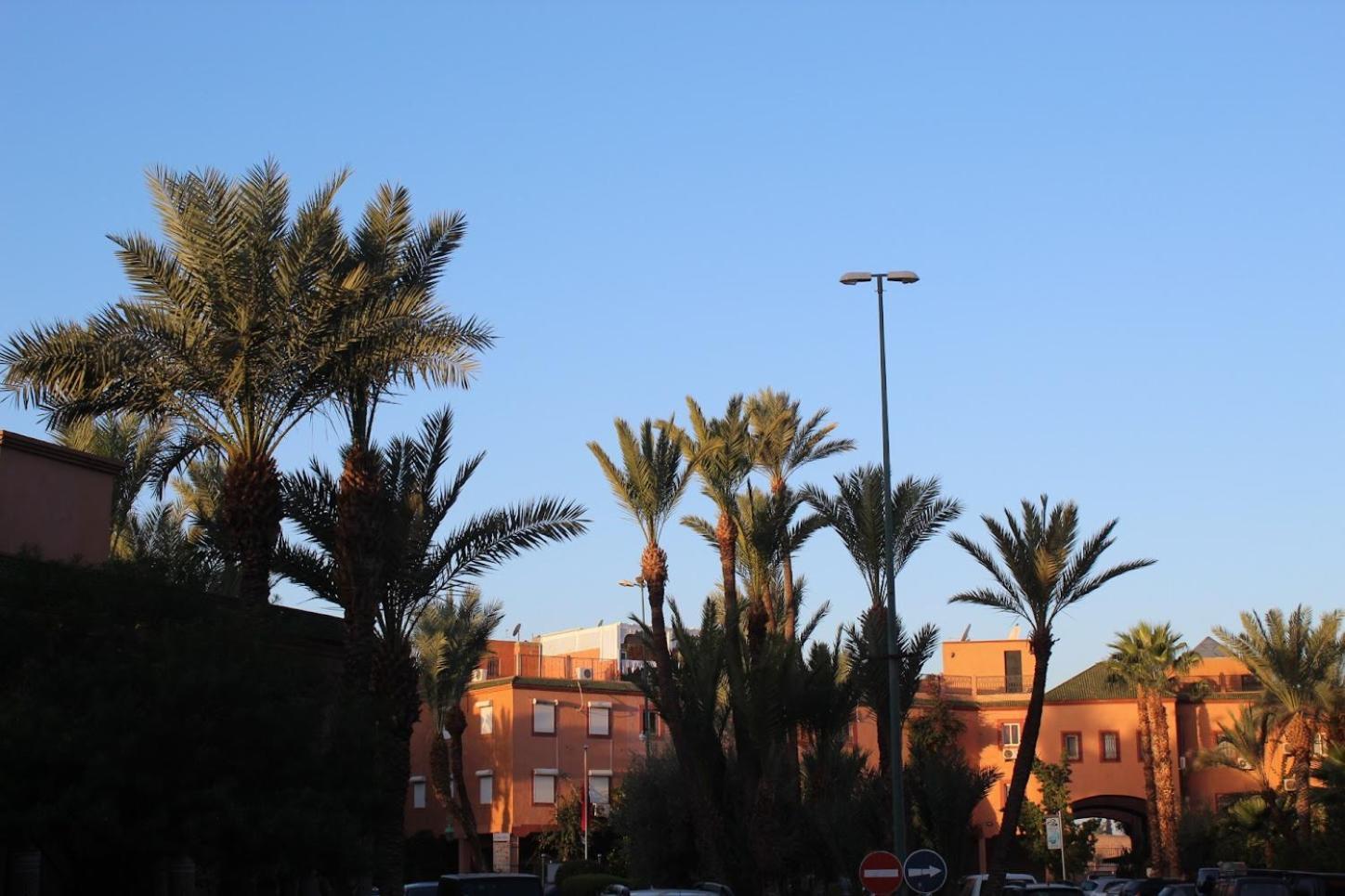 Riad Darnooz Marrakesh Exterior foto